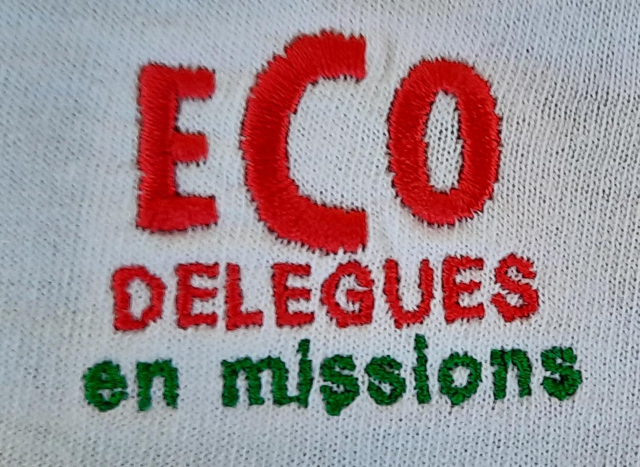 Eco_délégué(brodeuse).jpg